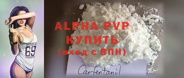 a pvp Белокуриха