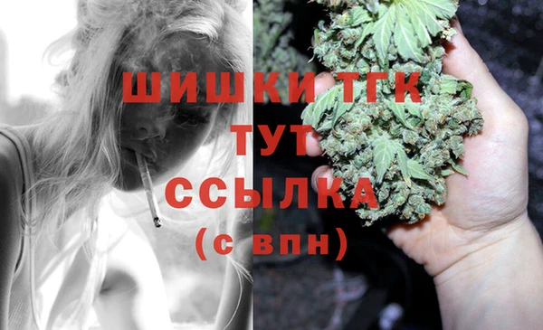 a pvp Белокуриха
