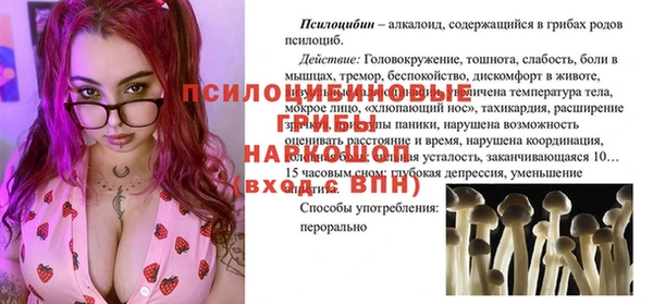 a pvp Белокуриха