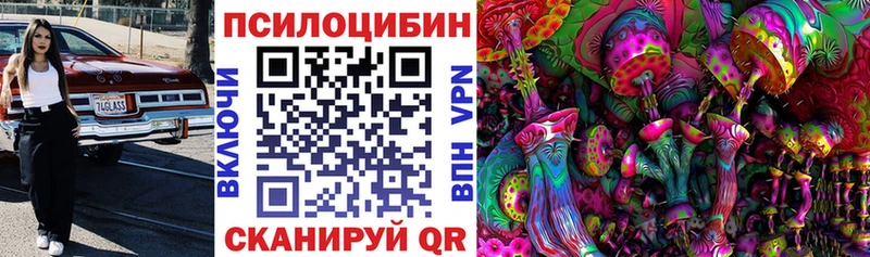 Галлюциногенные грибы Psilocybine cubensis  Дигора 